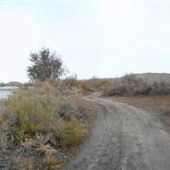 Stewarts River Crossing