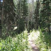 Park City Hiking Trails