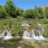 Cascade Springs