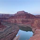 Colorado River Gooseneck