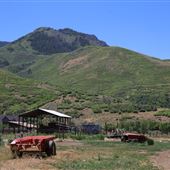 Old Nephi Farm