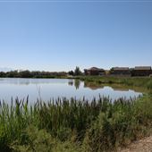 Powell Lake