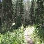 Park City Hiking Trails