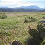 La Sal Loop Road
