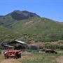 Old Nephi Farm