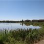 Powell Lake