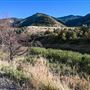 Logan Canyon