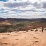 Arches National Park