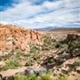 Arches National Park