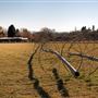 Nine Mile Ranch