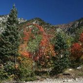 Little Cottonwood Canyon- Autumn