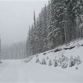 SR 190 Winter