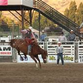 Cache County Fairgrounds