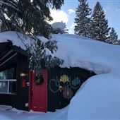 Swiss Cottage
