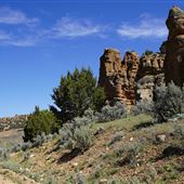 Coalville Ranch