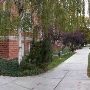 Westminster University