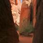 Arches National Park