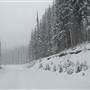 SR 190 Winter