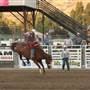 Cache County Fairgrounds