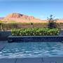 Pool Palace