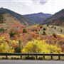 Logan Canyon