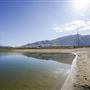 The Pond at Willard Bay