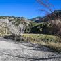 Logan Canyon