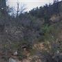 Kanab