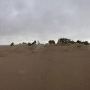 Little Sahara Sand Dunes