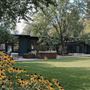 Mid-Century Modern Haven