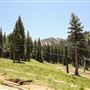 Brighton Ski Resort- Summer