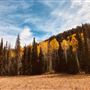 Thousand Peaks Ranch - Summer