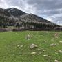 Thousand Peaks Ranch - Summer