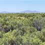 Temple Terrace - 320 Acres