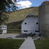 McPolin Farm-Summer