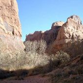 La Sal Mill Canyon