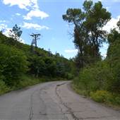 Pinecrest
