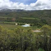 Mower Property  Hobble Creek Canyon