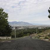 Chandler Drive