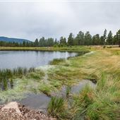 West Greens Lake