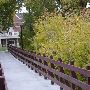 Westminster University