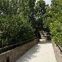 Westminster University
