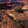 Dead Horse Point State Park