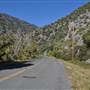Ophir Canyon Road