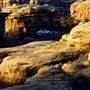 Canyonlands National Park