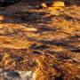 Canyonlands National Park