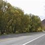 Logan Canyon