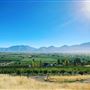 Rocky Top Fruit Farm
