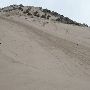 Little Sahara Sand Dunes