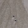 Little Sahara Sand Dunes
